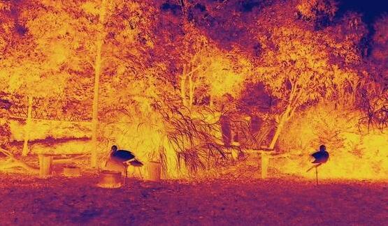 有“温度”的红外热成像摄像头